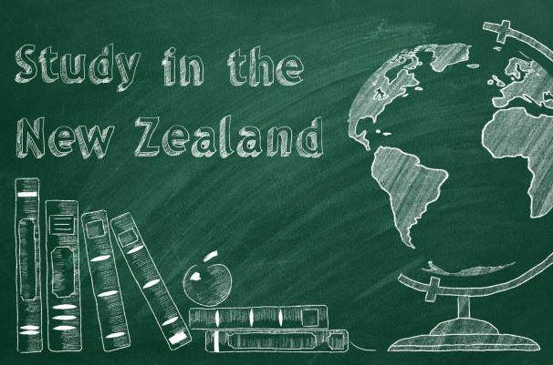 Which Course Is Best To Study In Nz?