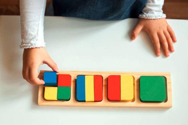 Did Mark Zuckerberg Go To Montessori?