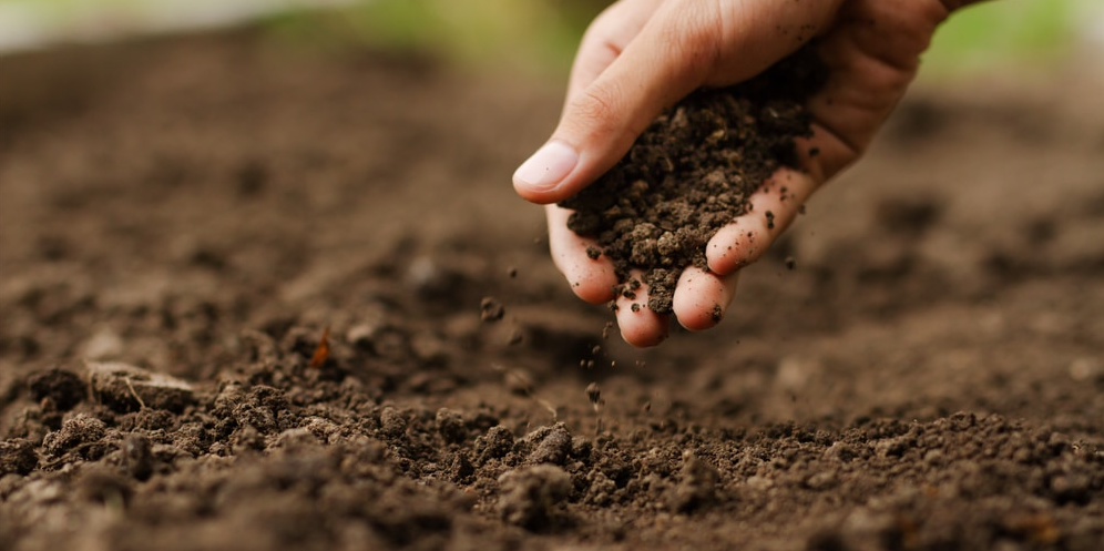 How Much Does 1 Cubic Foot of Soil Weigh? (Answered!) What Is 1 Cu Ft Of Soil?