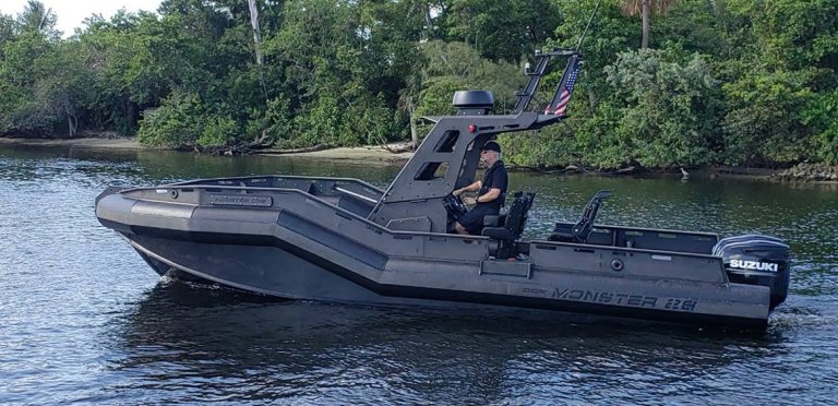 Dgs Monster For Sale