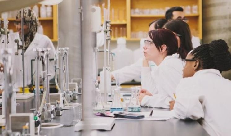 Best Chemical Engineering Schools In The United States