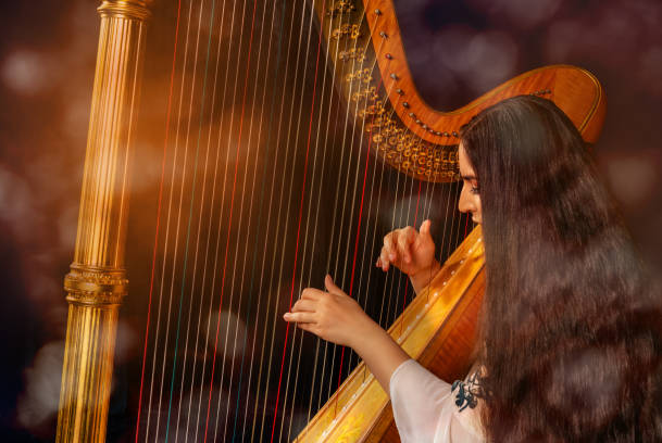 How Much Does A New Harp Cost?