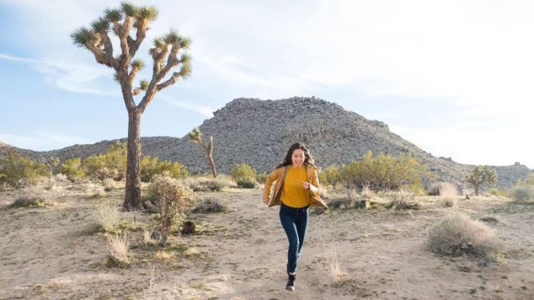 10 Fun Things To Do at Joshua Tree National Park