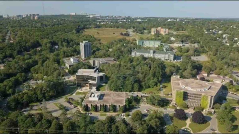 Mount St. Vincent University Acceptance Rate & Requirements