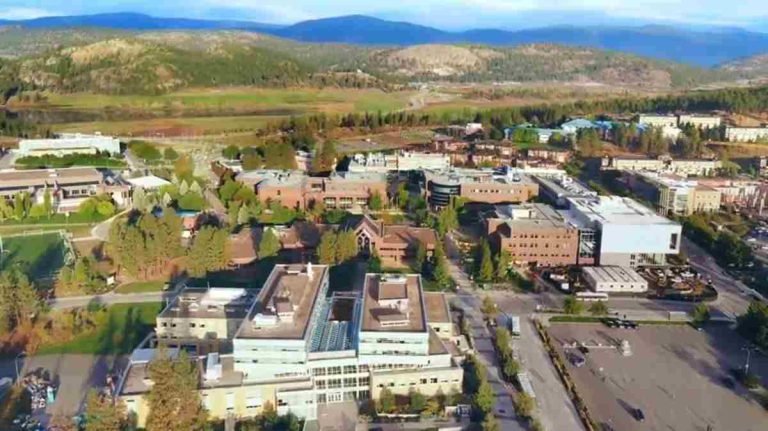 Okanagan University College Acceptance Rate & What To Know