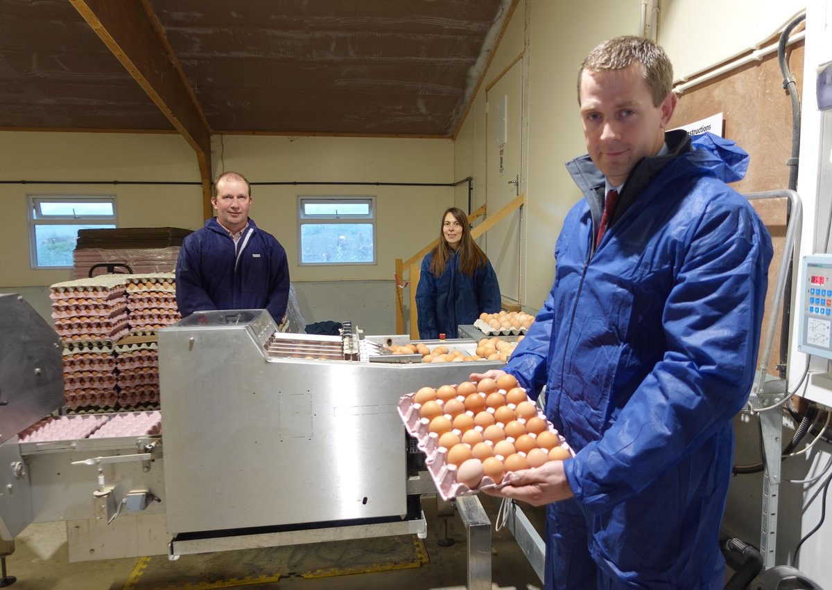 egg packaging jobs in Australia