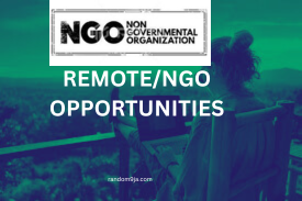 Remote/NGO Opportunities